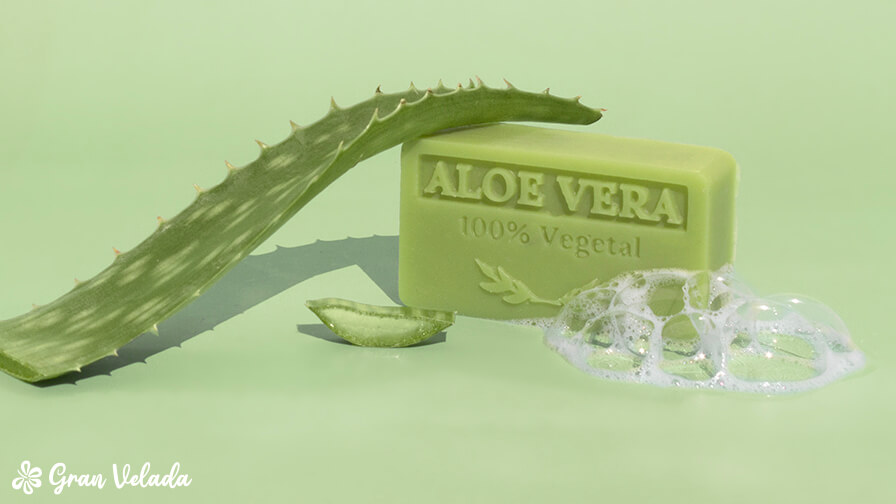 Wie man Aloe Vera Seife herstellt